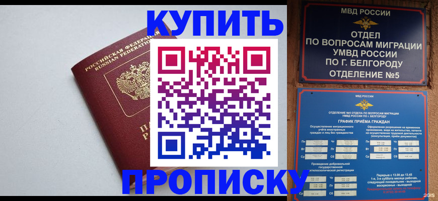 прописка регистрация в Красном Куте